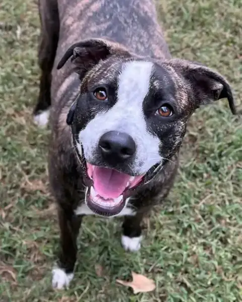 Bella photo 4