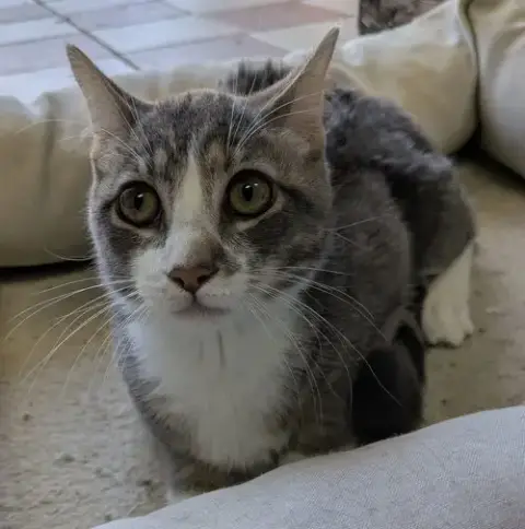 Ezekiel