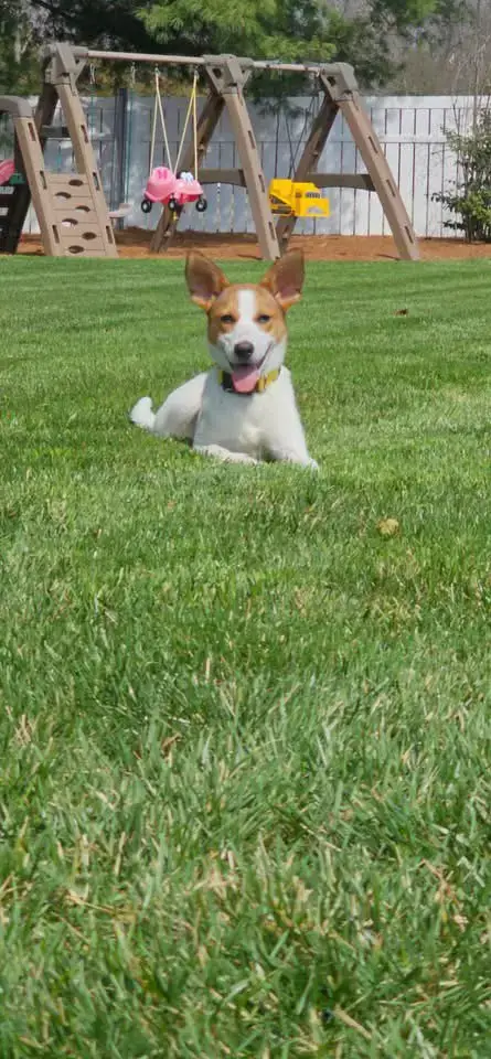 Bunny Lou photo 3
