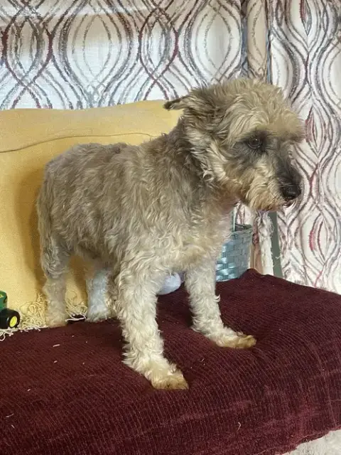 Sabrina photo 3
