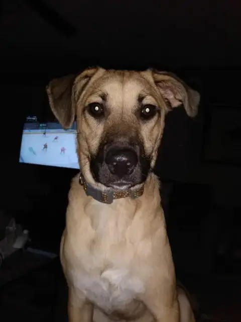 Talbot photo 2