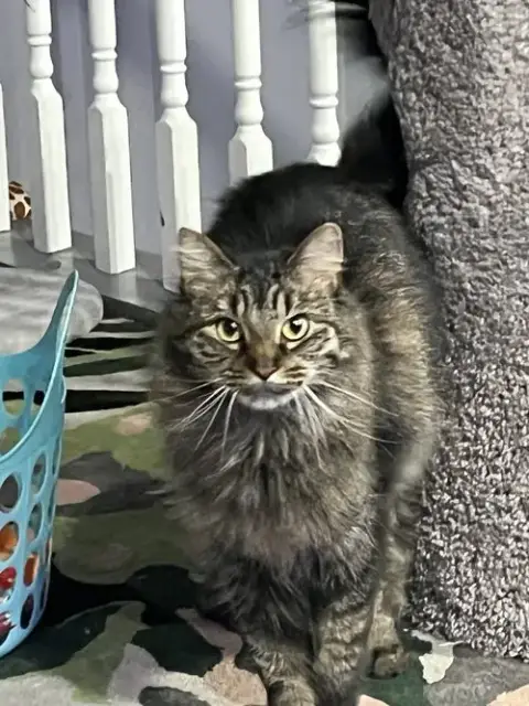 Zoey