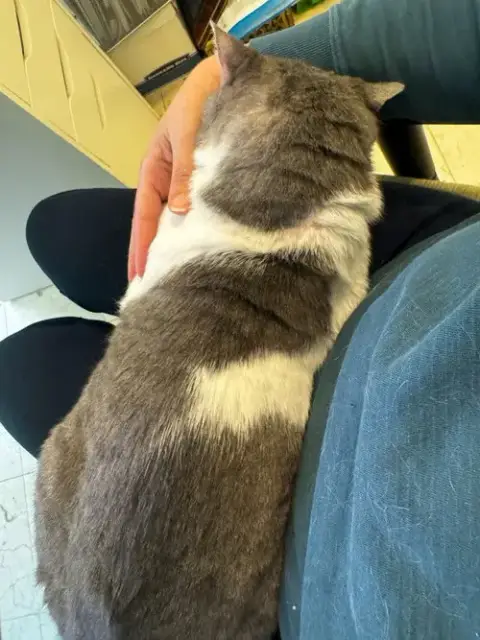 Sleepy photo 4