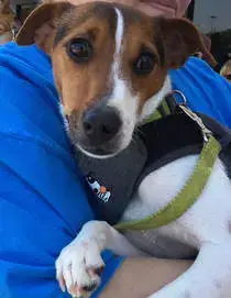 Jack Jack photo 4