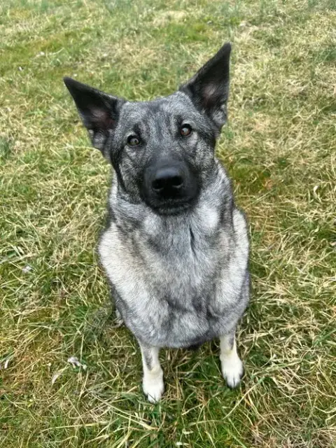 Bryn photo 3