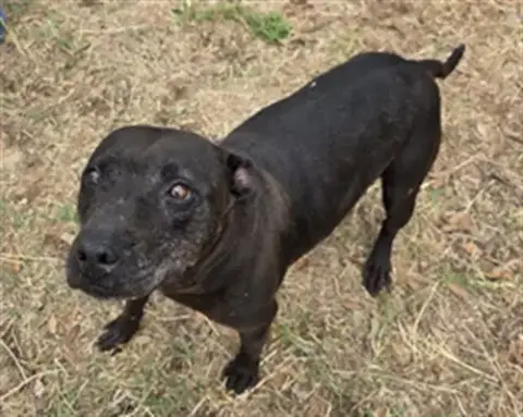Esther