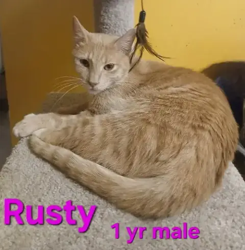 Rusty
