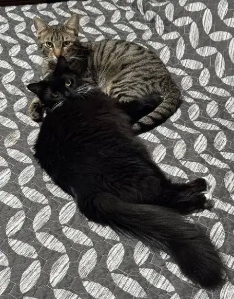 Oliver And Lucy