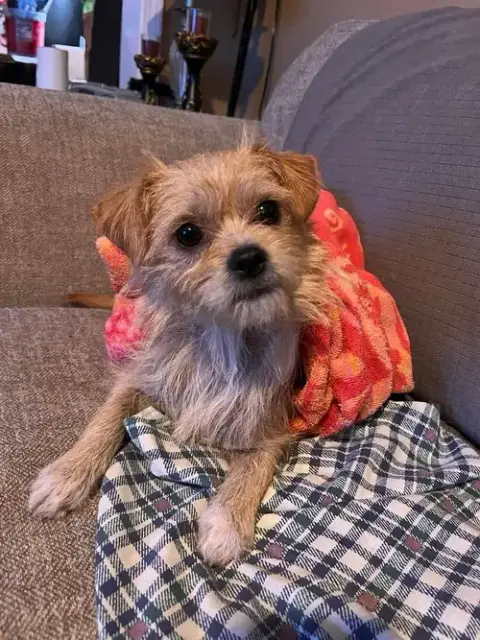 Lil Faith photo 2