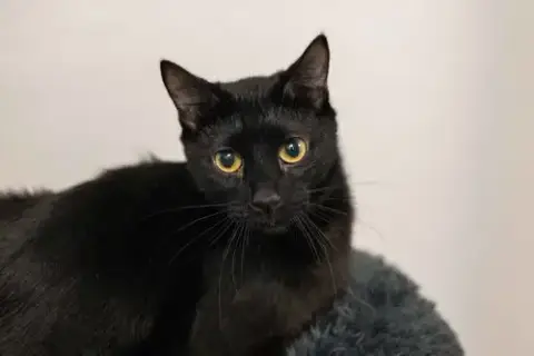 Bernard photo 2