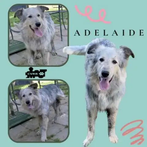 Adelaide