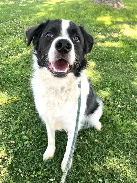 Handsome