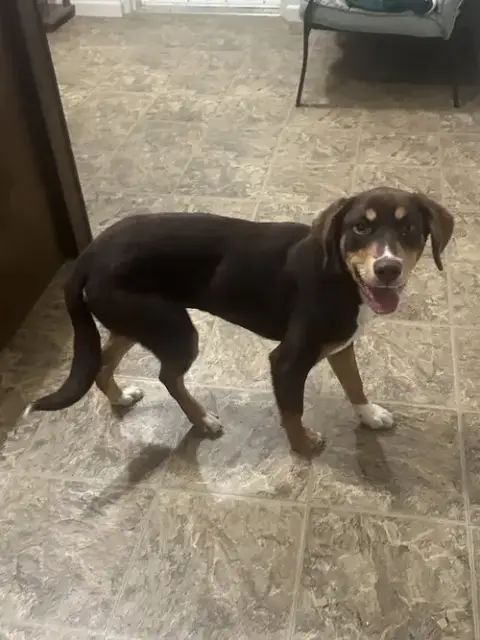 Mocha photo 2