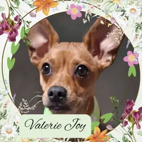 Valerie Joy