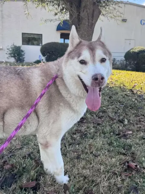Sasha photo 3