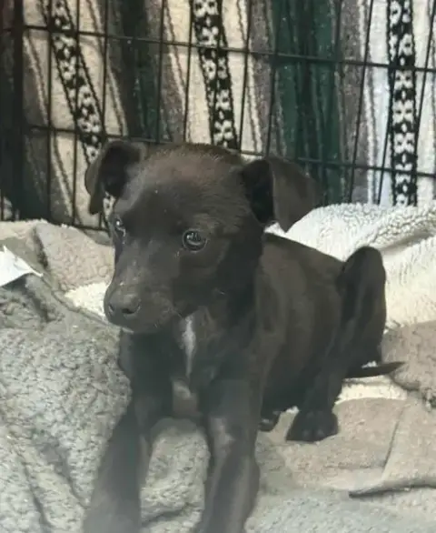 Kane *Arriving 2/20*