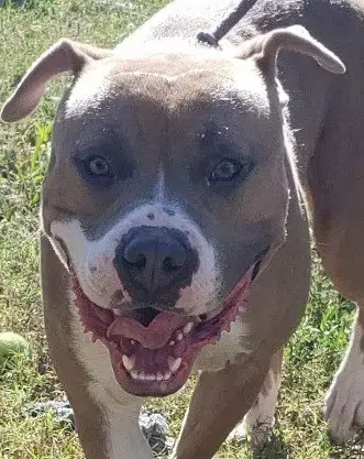 Titus In Tappahannock Va photo 2