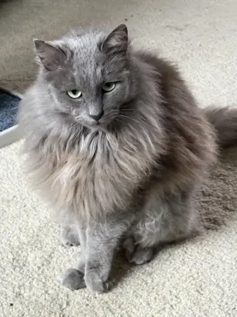 Luna photo 2
