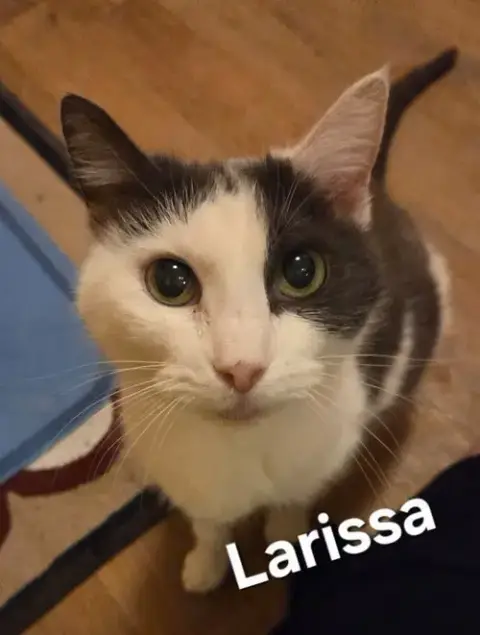 Larissa photo 3