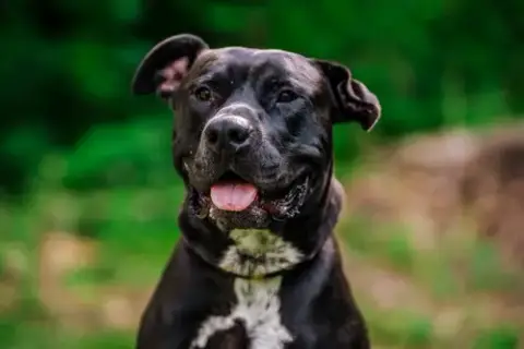 Sterling photo 3