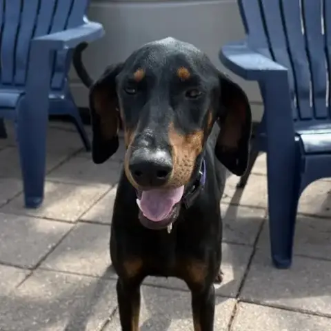 Xena photo 3