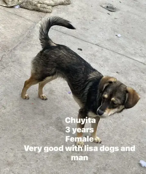 Chuyita photo 2