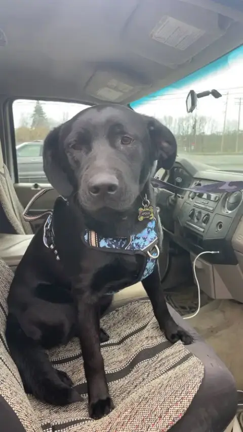 Apollo