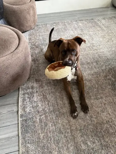 Finn photo 2
