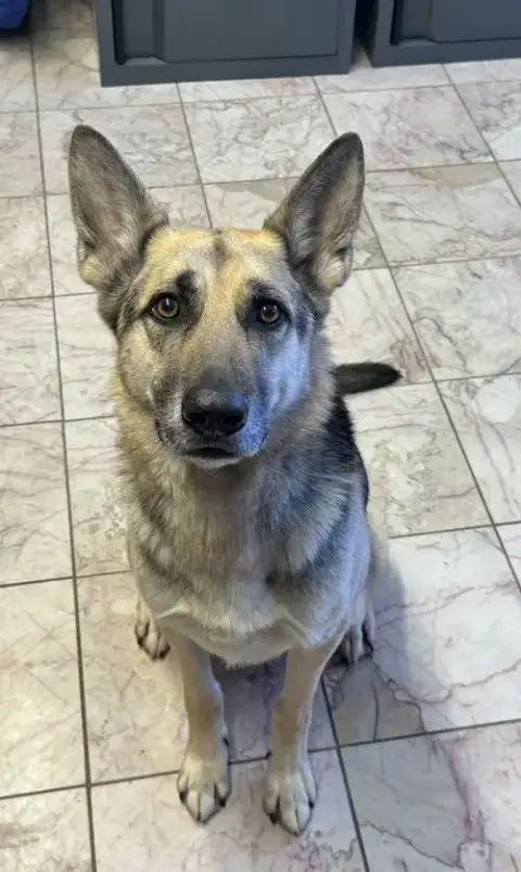 Fletcher photo 3