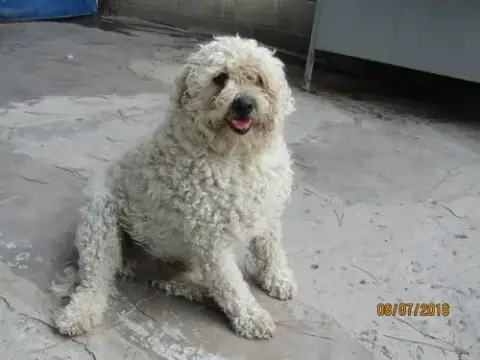 Berta photo 2