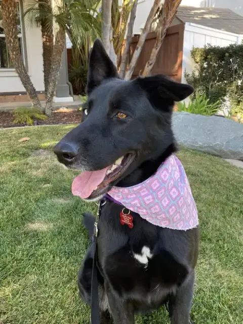Kira photo 4