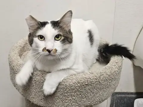 Mason