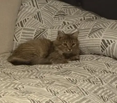 Rosie