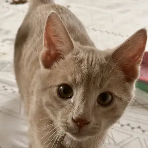 Nimbus photo 4