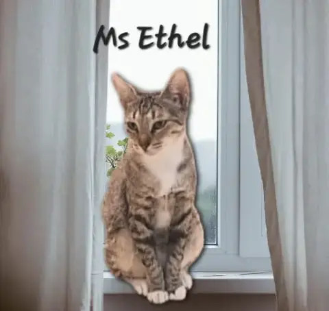 Ms Ethel #Low-Maintenance photo 3