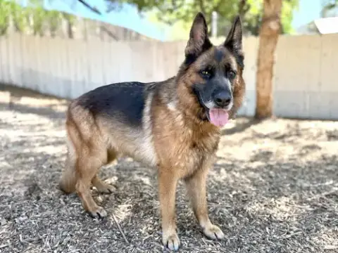 Bianca