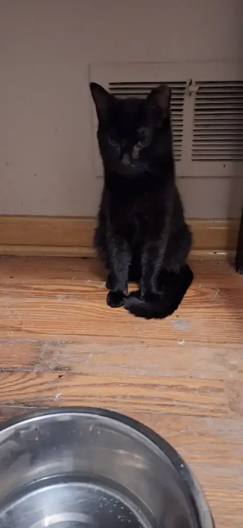 Tito