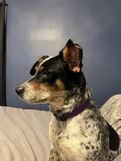 Marnie