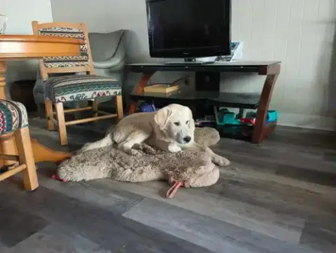 Riley photo 5