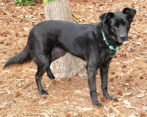 Nyla photo 2