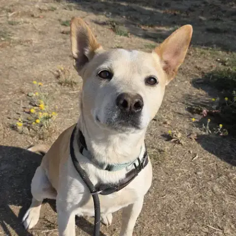Buster