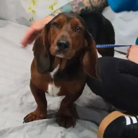 Theodore Aka Theo