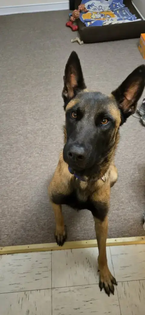 Buddy photo 3