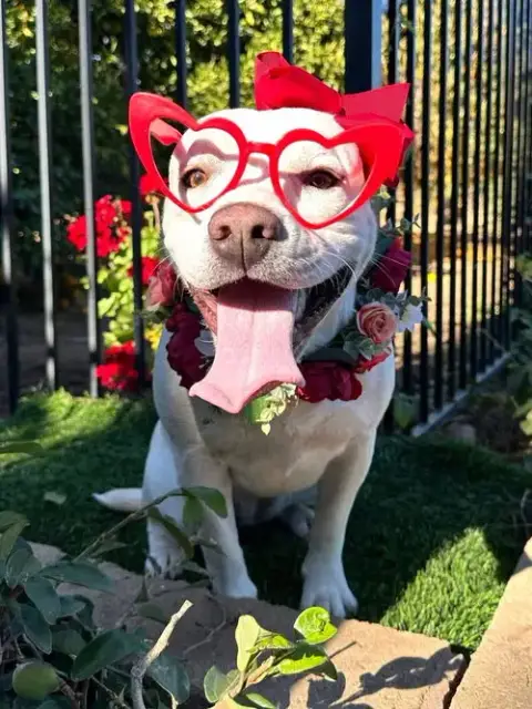 Gigi photo 3