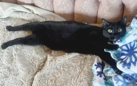 Elvira photo 5