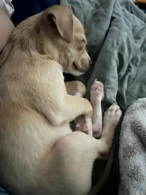 Butters photo 2