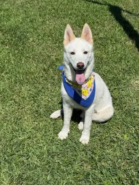 Max