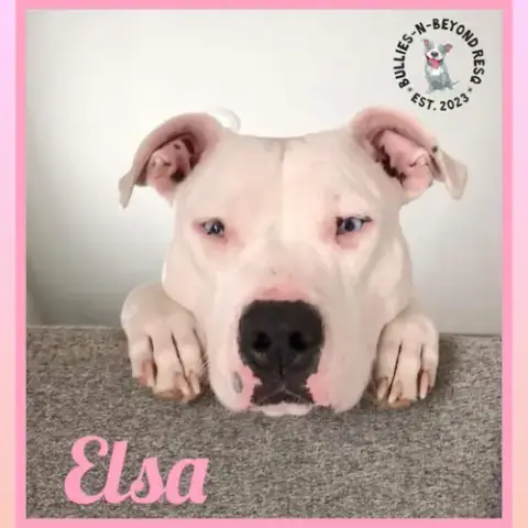 Elsa photo 2