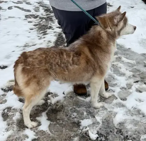 Lucy: Bonded With Kira photo 2