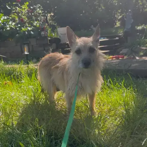 Mia